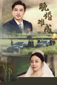 晚婚难成
